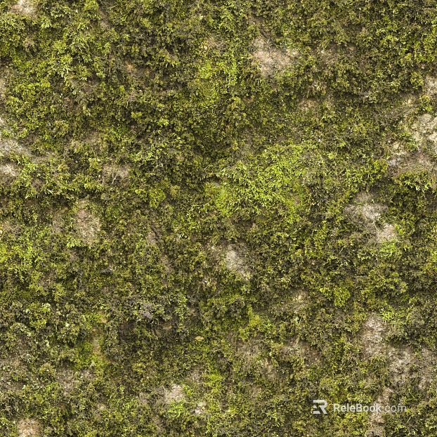 moss texture
