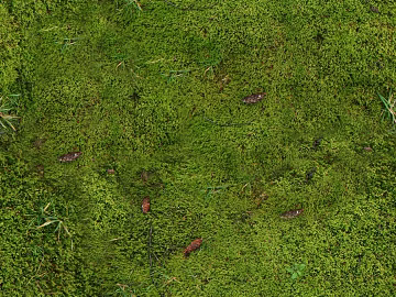 Turf texture (ID:ffaag41167)