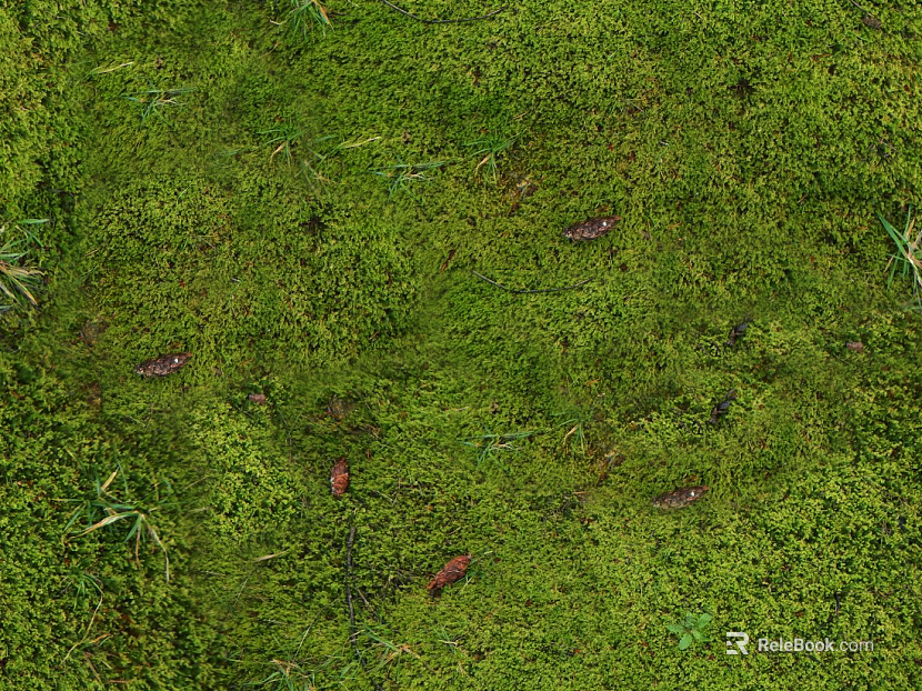 Turf texture