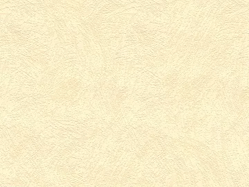 Plastucco texture (ID:ffhbe370)