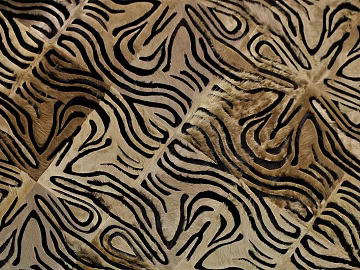 Animal Blanket Carpet texture (ID:ffagf0914)