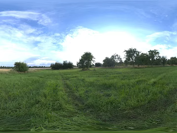 Leisure Lawn Forest HDR texture (ID:ffabg00391)