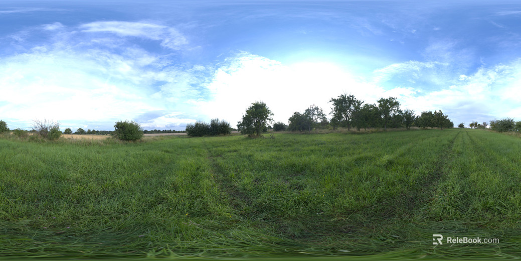 Leisure Lawn Forest HDR texture