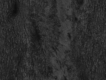 Black and White Bump texture (ID:ffaag56968)