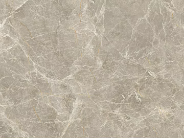 Mesh pattern marble warm gray stone texture (ID:ffabf5252)