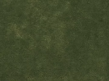 Turf texture (ID:ffaif5192)