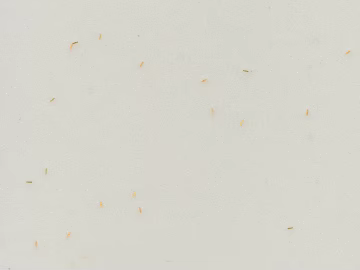 Plain Tile texture (ID:ffaeg85082)