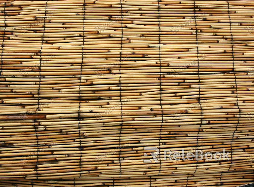 Bamboo texture