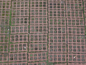 grass-planting brick texture (ID:ffaeg89213)