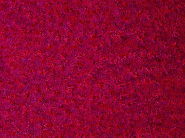 Paint wall texture (ID:ffabg50833)