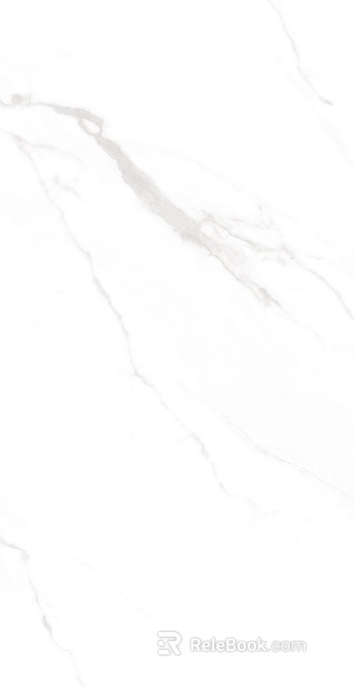 Shunhui Tile Marble Victoria White texture