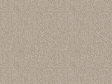 fine grain leather texture (ID:ffacg36161)