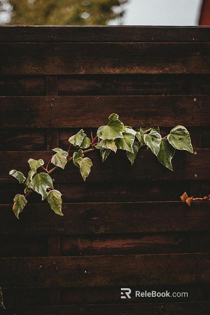 flower box plastic wood flower box texture
