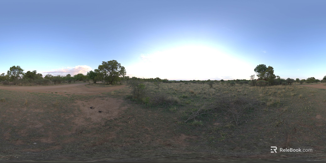 Outdoor grass trees daytime HDR texture