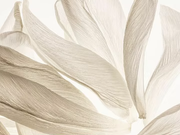 decorative painting texture (ID:ffacg03512)