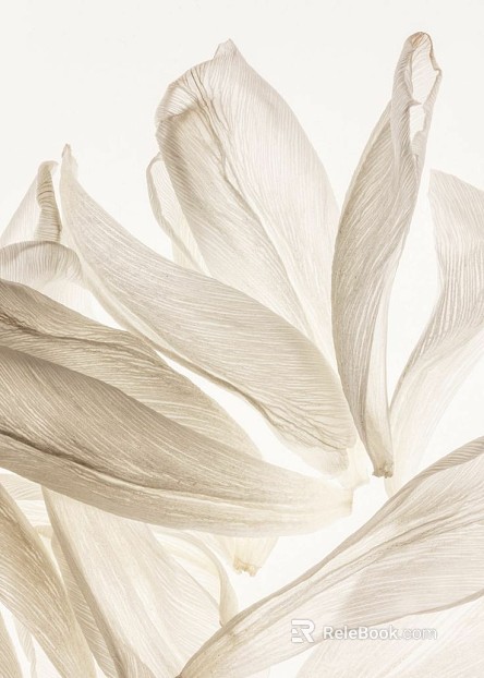 decorative painting texture