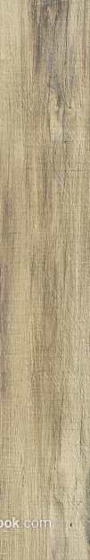 Light yellow oak long wood grain texture