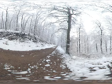 Outdoor Winter Snow Forest HDR texture (ID:ffabg71731)