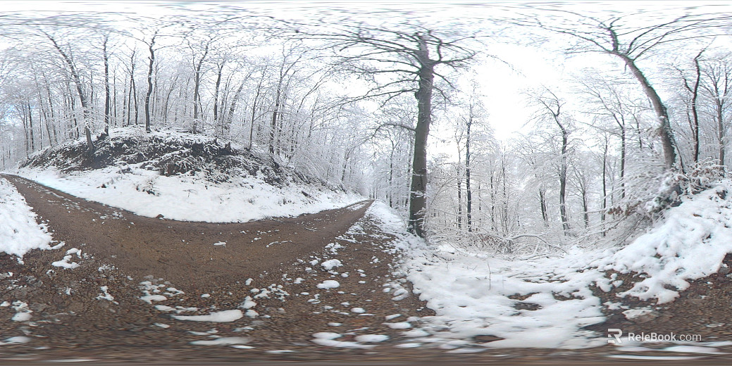 Outdoor Winter Snow Forest HDR texture