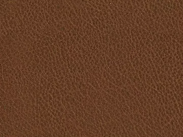 fine grain leather 3d model