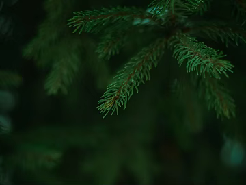 leaves texture (ID:ffabg46032)