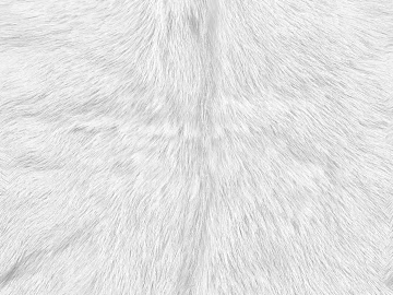 animal skin texture (ID:ffaag14012)