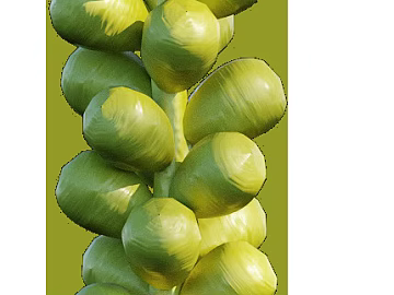 Plants texture (ID:ffacg81810)