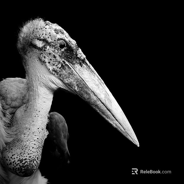 animal decorative painting texture