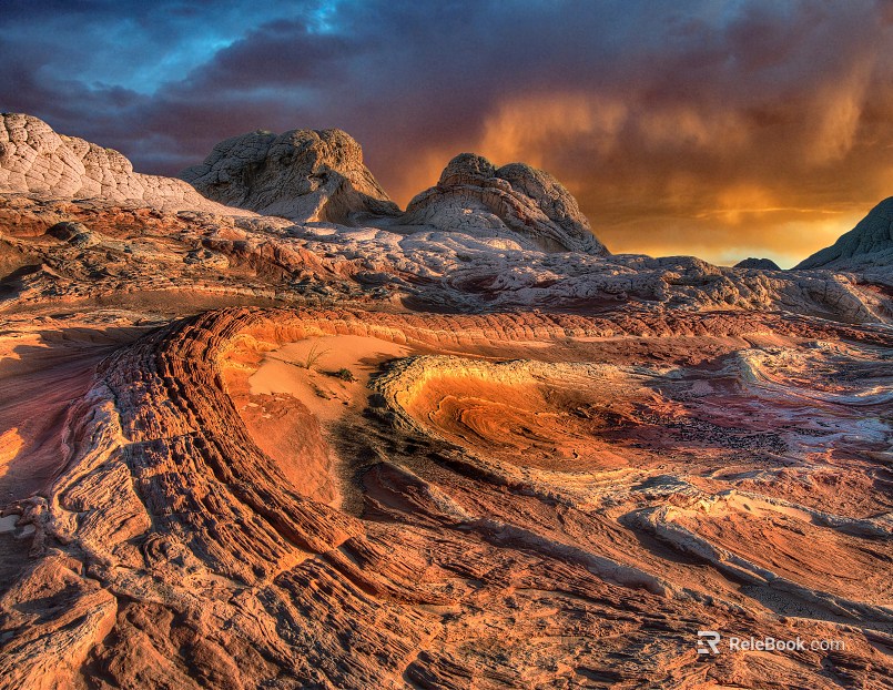 Wild Scenery texture