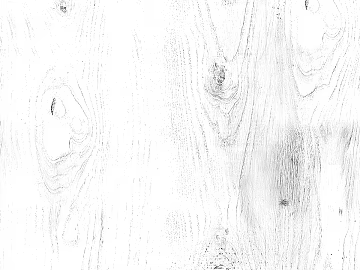 Black and white wood grain texture (ID:ffaff2303)