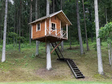 Natural cabin pictures texture (ID:ffach689984)