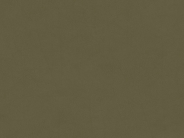 fine grain leather texture (ID:ffacg10509)