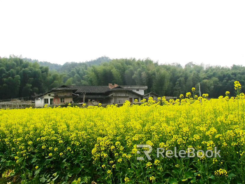 Wild Scenery texture