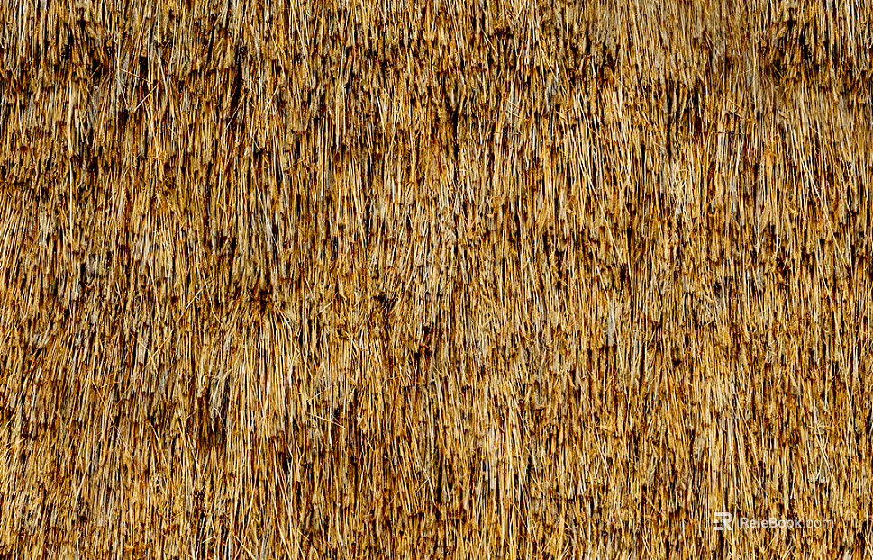 Thatch texture