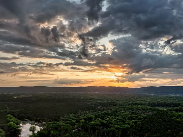Outdoor Forest Exterior texture (ID:ffajh386077)