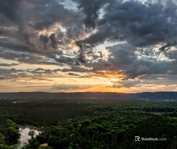 Outdoor Forest Exterior texture