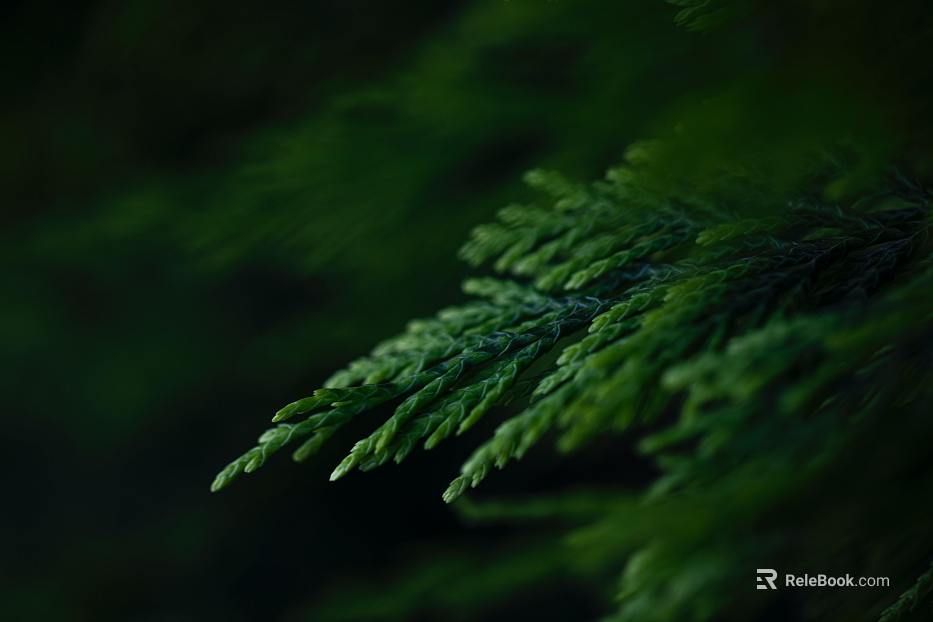 plant pattern texture