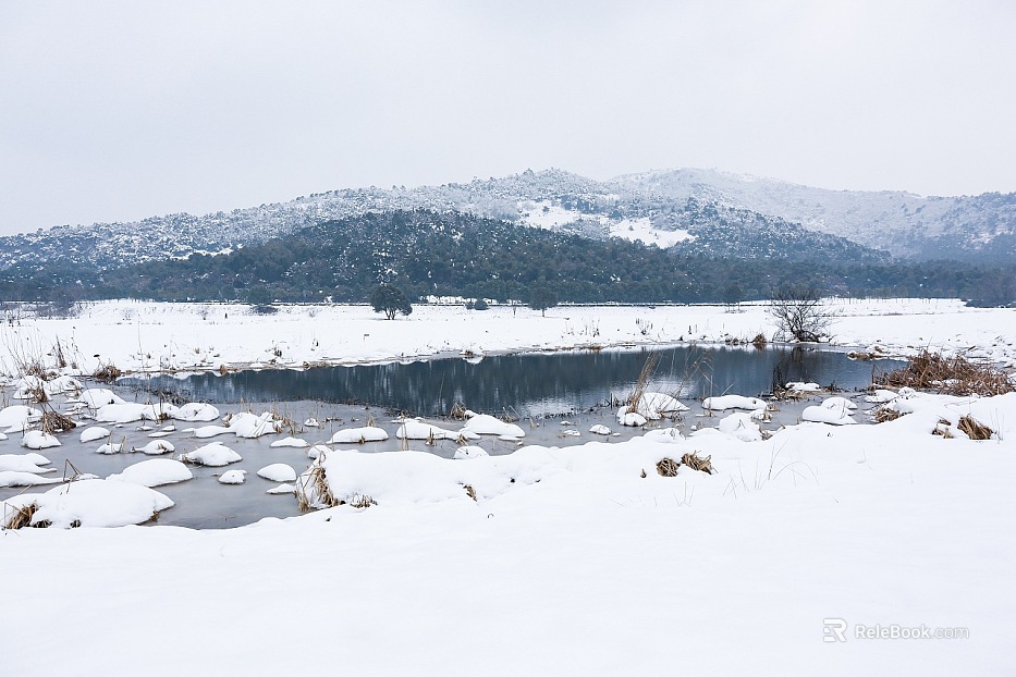 Snow texture