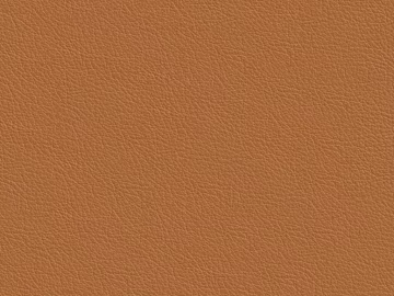Coarse-grain leather texture (ID:ffajg95548)