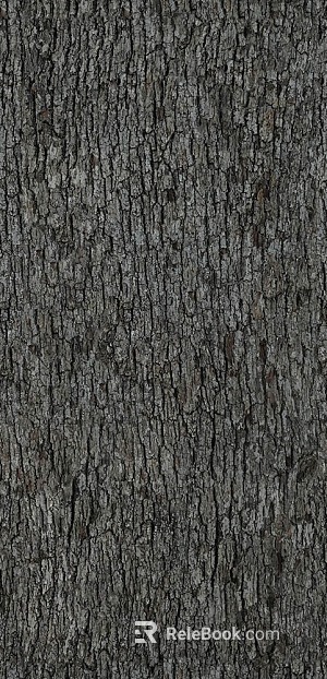 bark texture