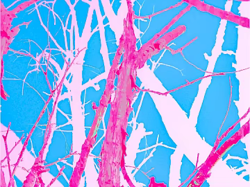decorative painting texture (ID:ffaeg84833)