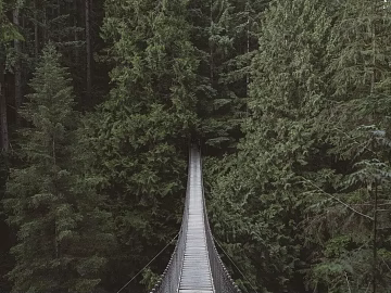 landscape painting texture (ID:ffaeg09105)