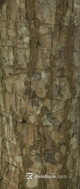 bark texture