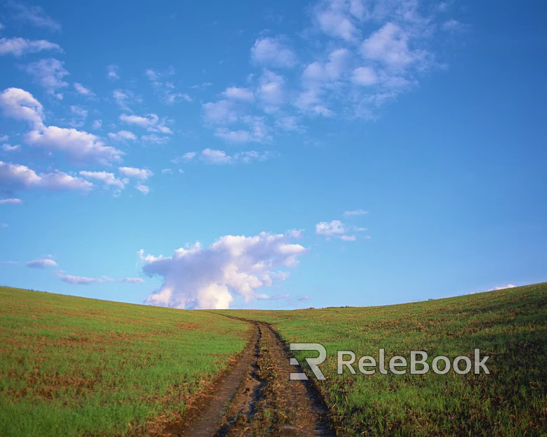 Wild Scenery texture