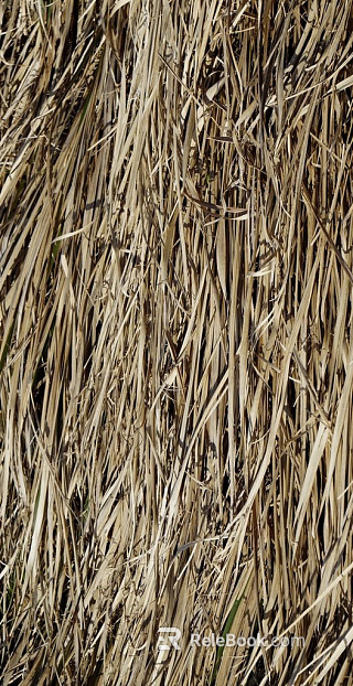 Thatch texture