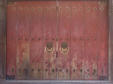 Wooden door texture (ID:ffagg81674)
