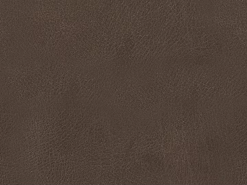 Coarse-grain leather 3d model