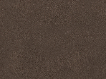 Coarse-grain leather texture (ID:ffagg45467)