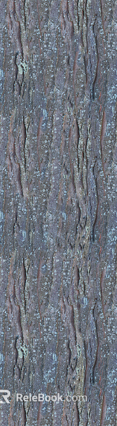 bark texture