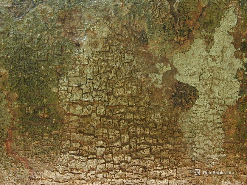 Do the old metal texture